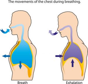 Breathing in Golf