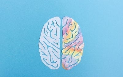 Practical vs. Imaginative: Knowledge on the left and right brain